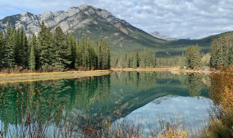 A beautiful calm and still lake in the mountains with a reflection of a mountain, trees, and grass in the water.