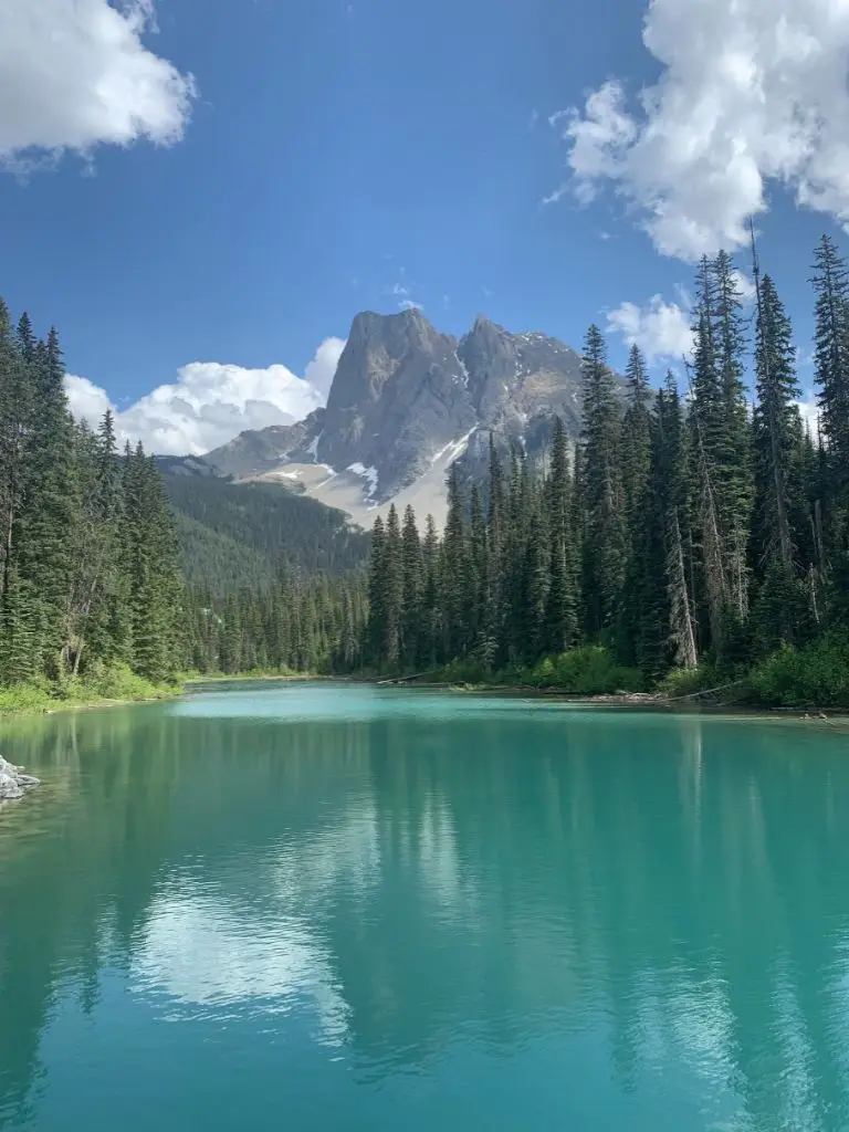 A picture of a beautiful mountian with snow on it in front of a flowing river through the woods